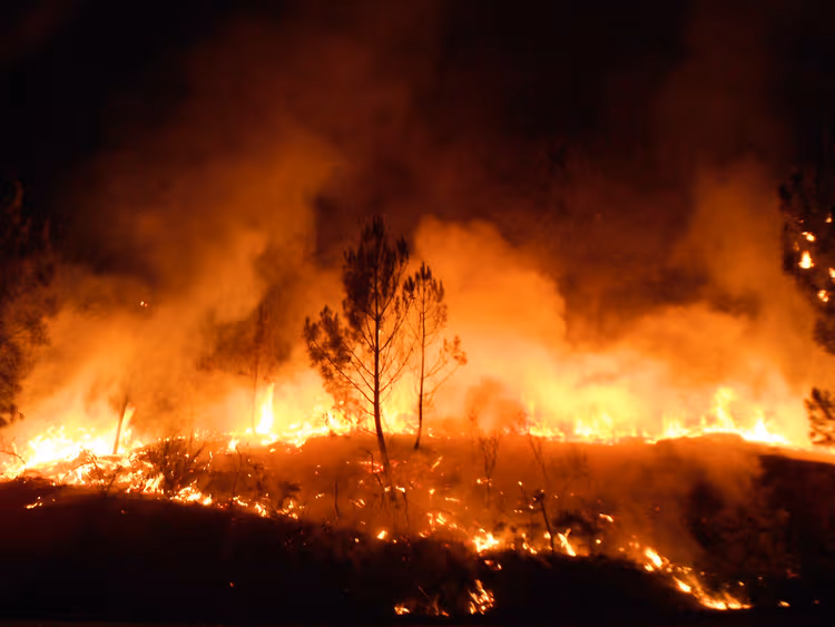 Governo contrata à pressa mais cinco helicópteros para combate aos incêndios