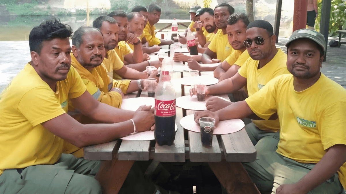 Imigrantes nos fogos: mas, afinal, será que a desinformação é filha da má informação na imprensa?