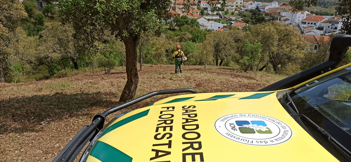 Ó Luís, quando o fogo alastra pela floresta, o teu mercado foge